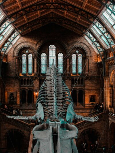 Museums & Galleries