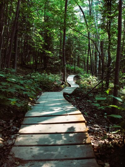 Hiking & Bush Walking Tracks