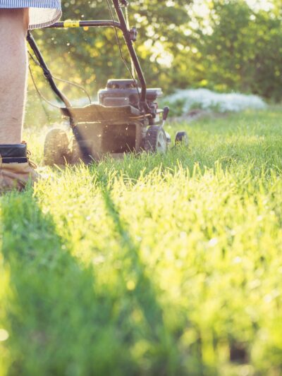 Mowing & Yard Services