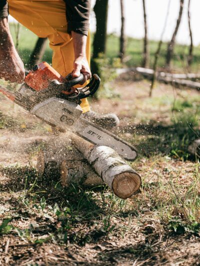 Tree Lopping & Removal
