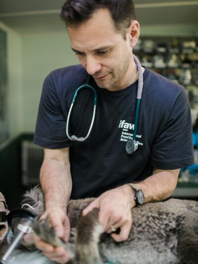 Veterinary Services